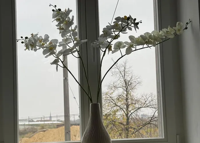 Kaiserzeit - City, Messe Und Zoo *